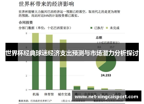 世界杯经典球迷经济支出预测与市场潜力分析探讨