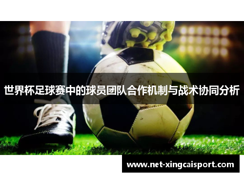 世界杯足球赛中的球员团队合作机制与战术协同分析