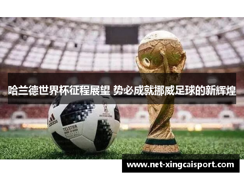 哈兰德世界杯征程展望 势必成就挪威足球的新辉煌