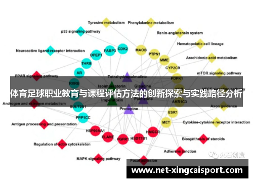 体育足球职业教育与课程评估方法的创新探索与实践路径分析