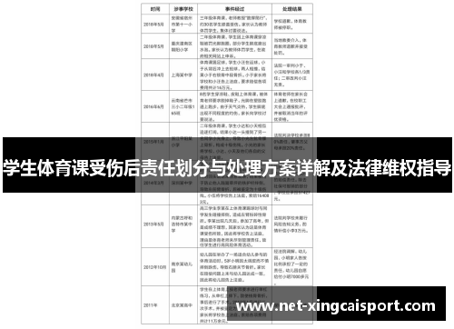 学生体育课受伤后责任划分与处理方案详解及法律维权指导