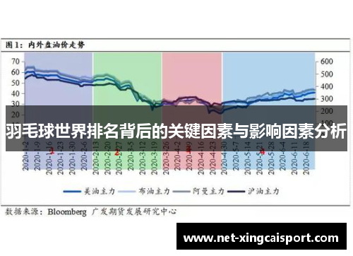 羽毛球世界排名背后的关键因素与影响因素分析