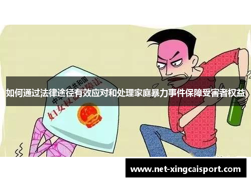 如何通过法律途径有效应对和处理家庭暴力事件保障受害者权益