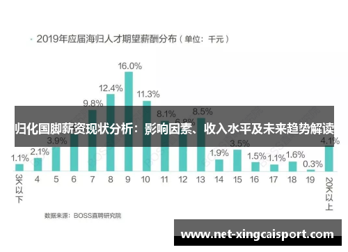 归化国脚薪资现状分析：影响因素、收入水平及未来趋势解读