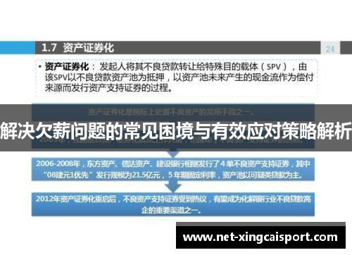 解决欠薪问题的常见困境与有效应对策略解析
