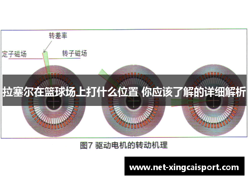 拉塞尔在篮球场上打什么位置 你应该了解的详细解析